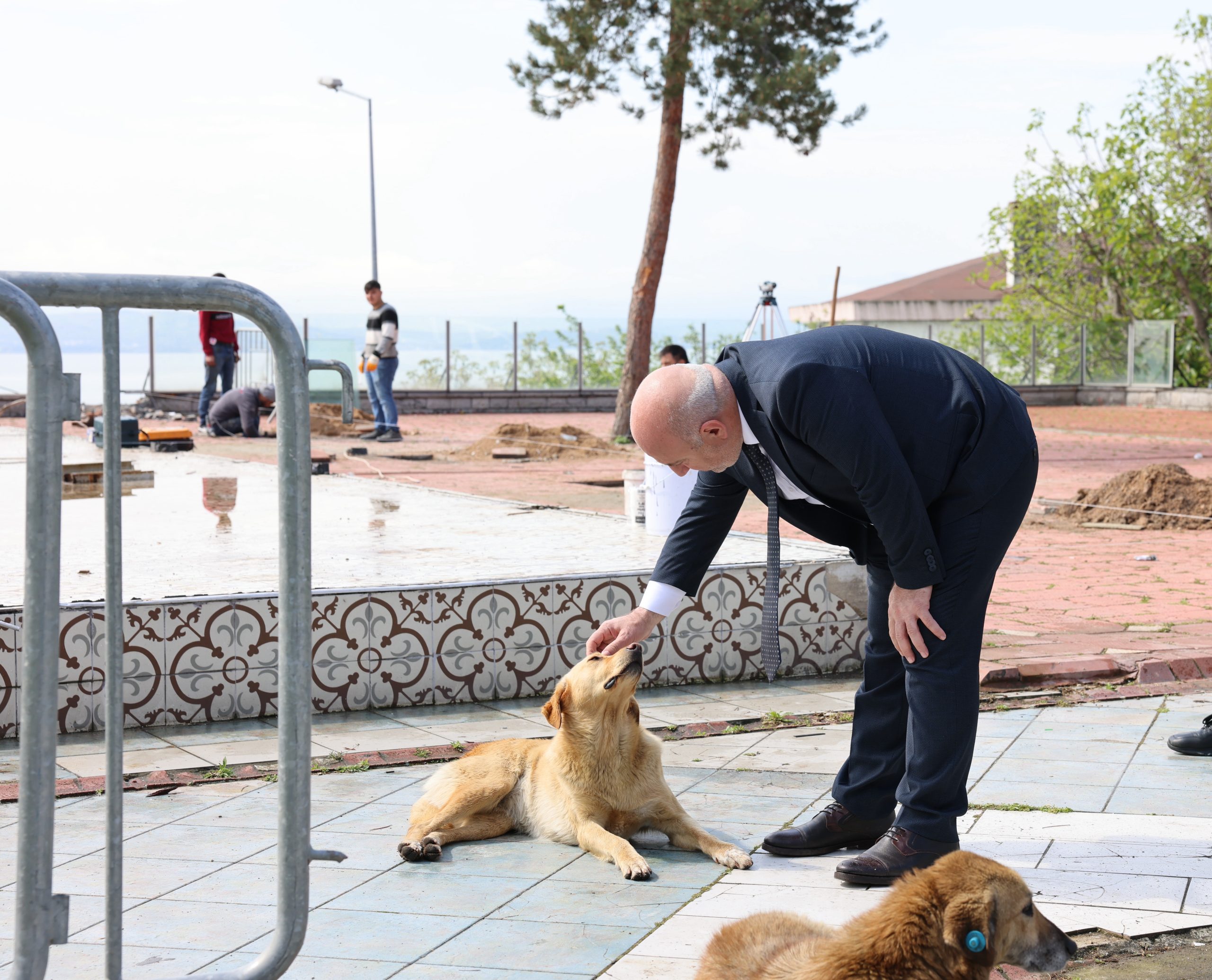 Sokak Hayvanları Barınağı